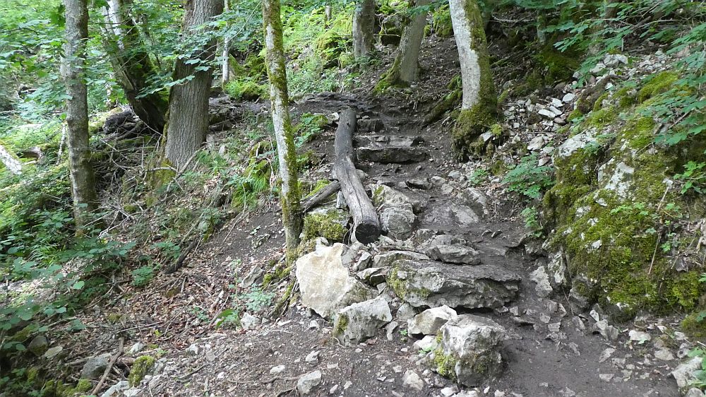 schluchtensteig