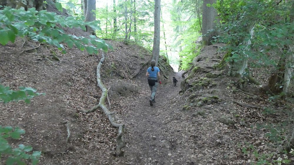 schluchtensteig