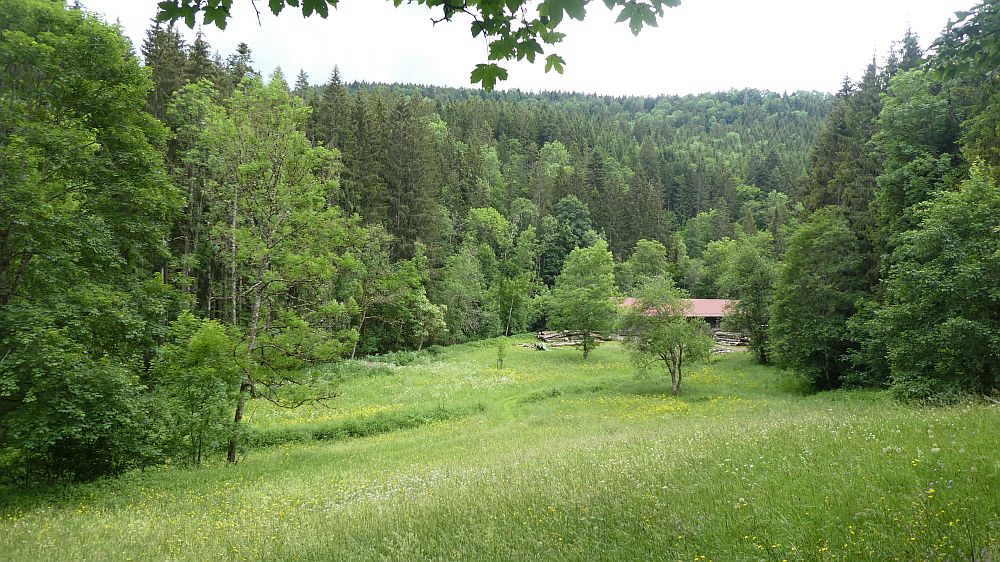 schluchtensteig