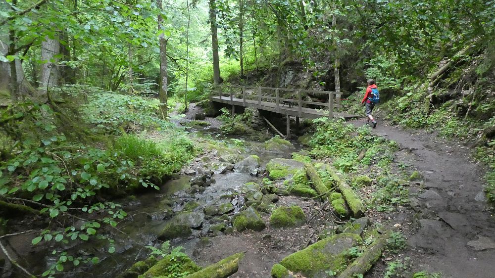 schluchtensteig