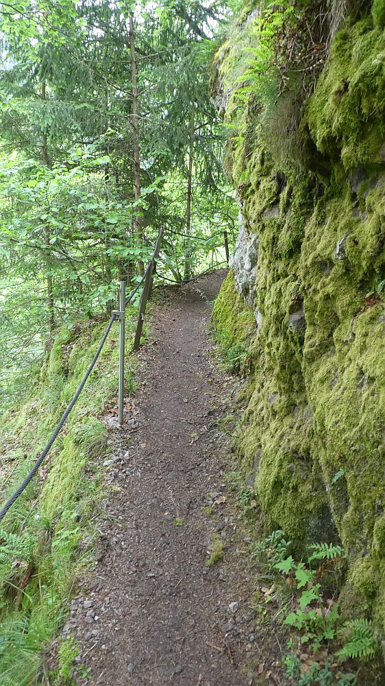 schluchtensteig