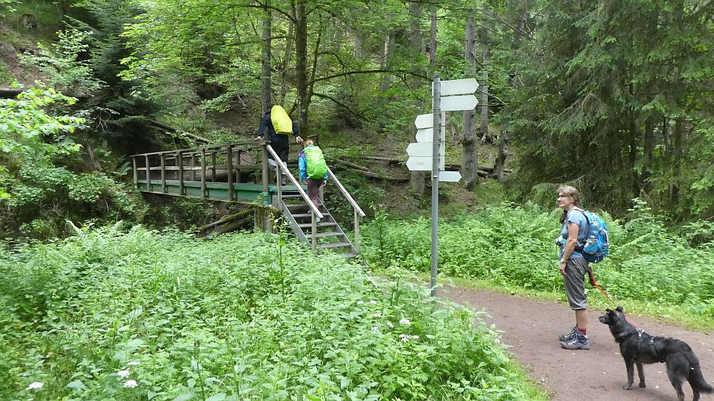 schluchtensteig