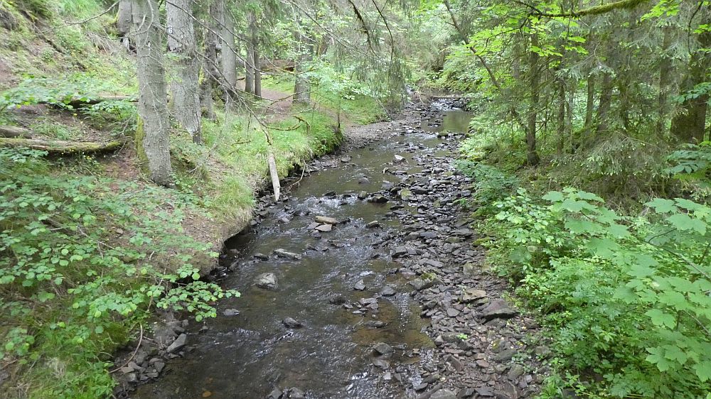 schluchtensteig