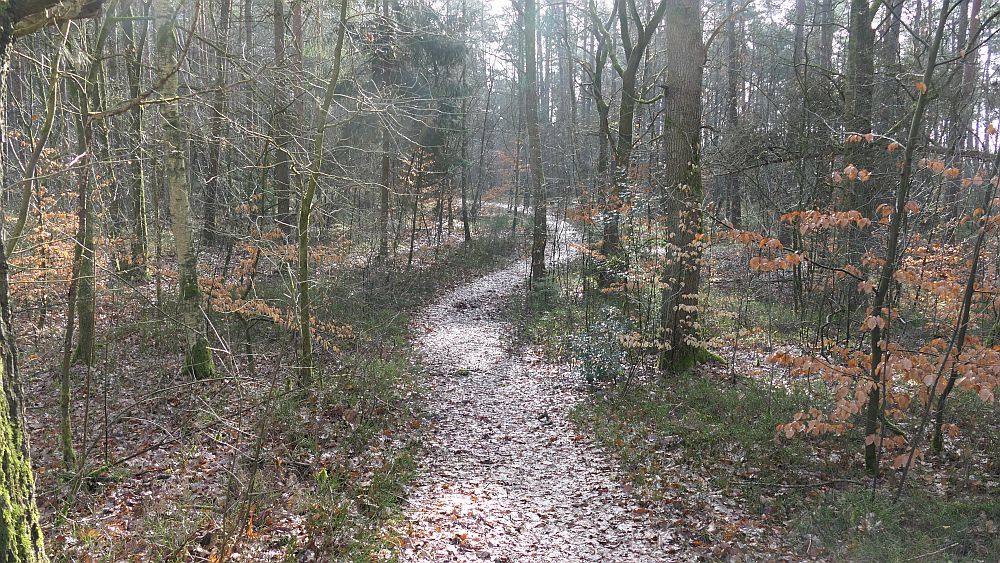 Heidschnuckenweg
