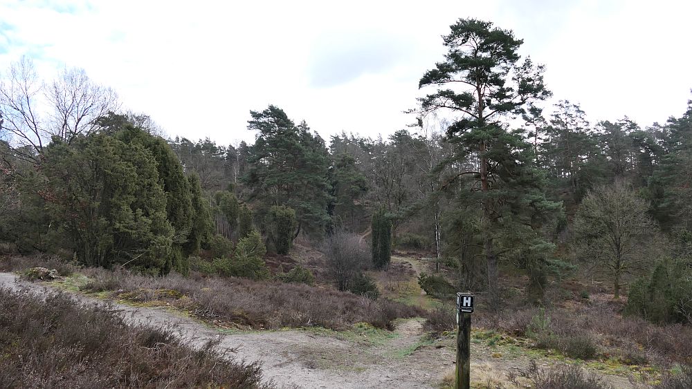 Heidschnuckenweg