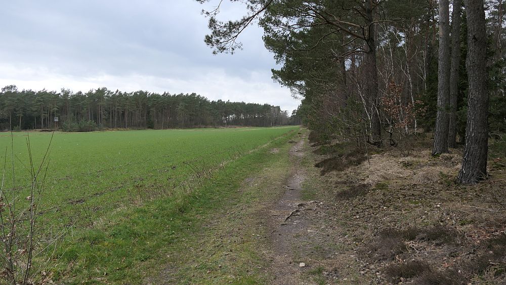 Heidschnuckenweg