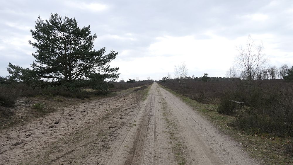 Heidschnuckenweg