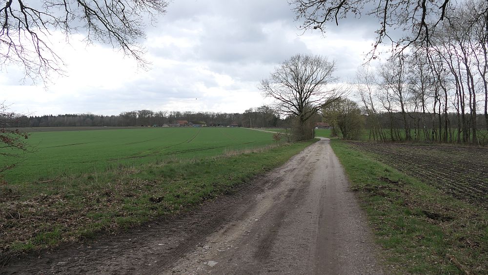 Heidschnuckenweg