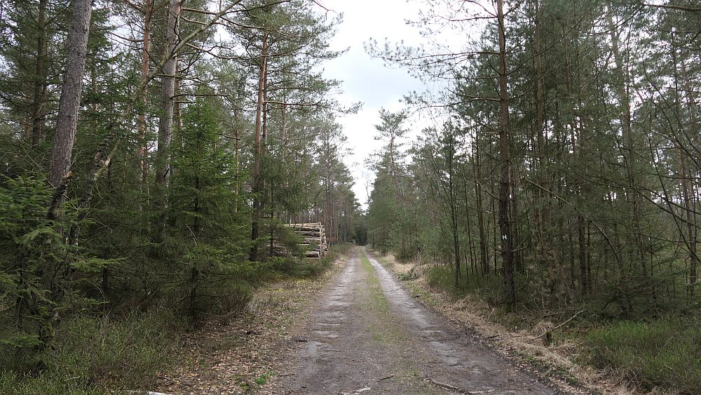 Heidschnuckenweg