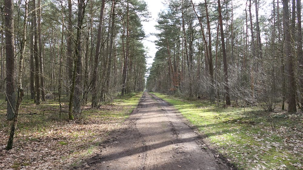 Heidschnuckenweg