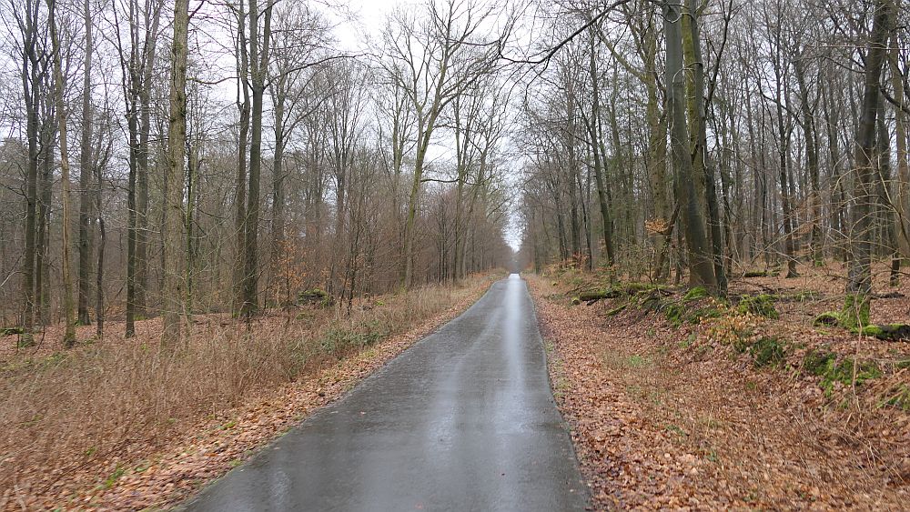 Heidschnuckenweg
