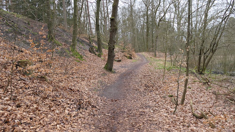 Heidschnuckenweg