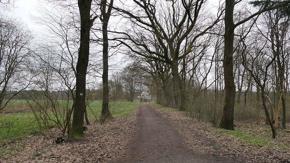 Heidschnuckenweg