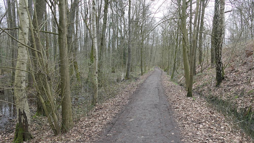 Heidschnuckenweg