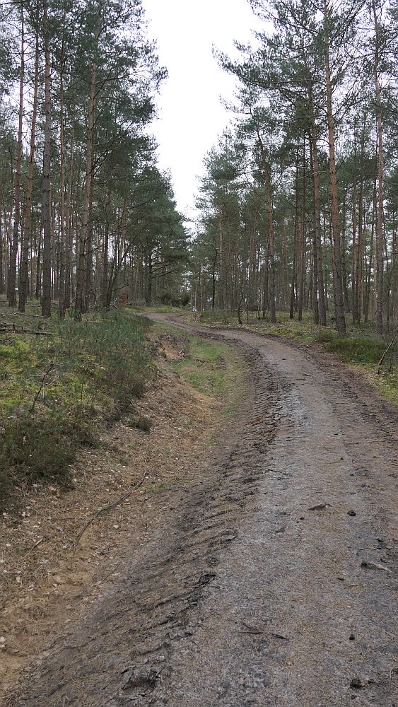 Heidschnuckenweg