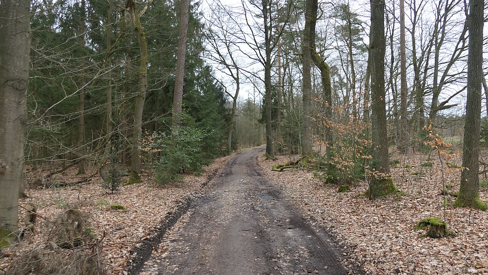 Heidschnuckenweg