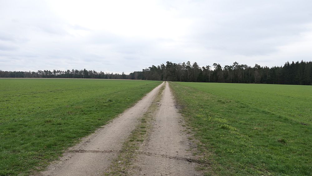 Heidschnuckenweg