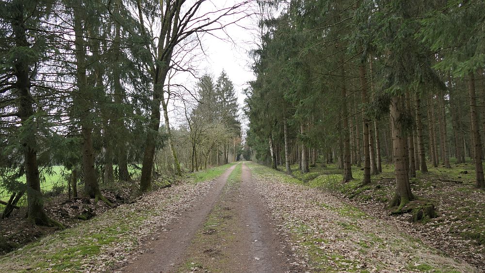 Heidschnuckenweg