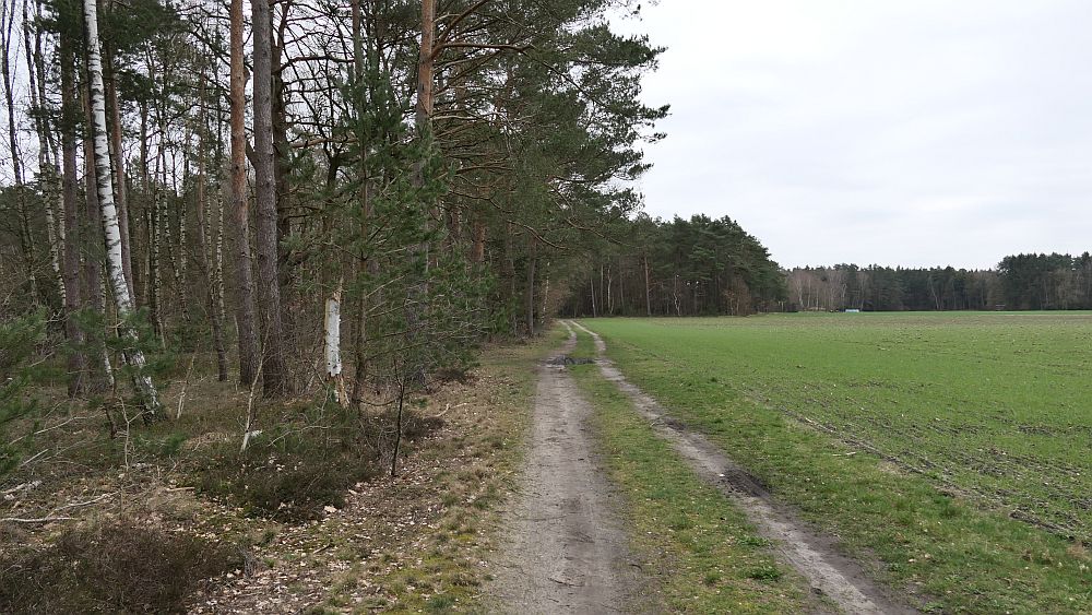 Heidschnuckenweg