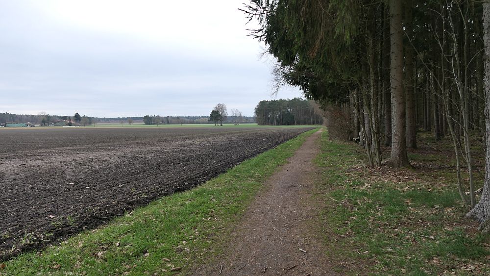 Heidschnuckenweg