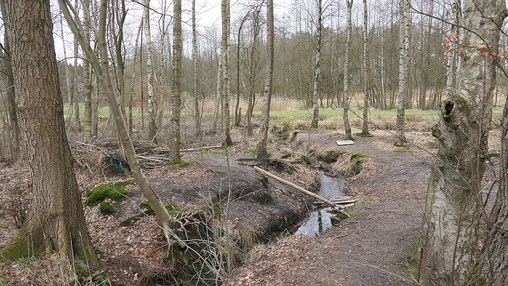 Heidschnuckenweg