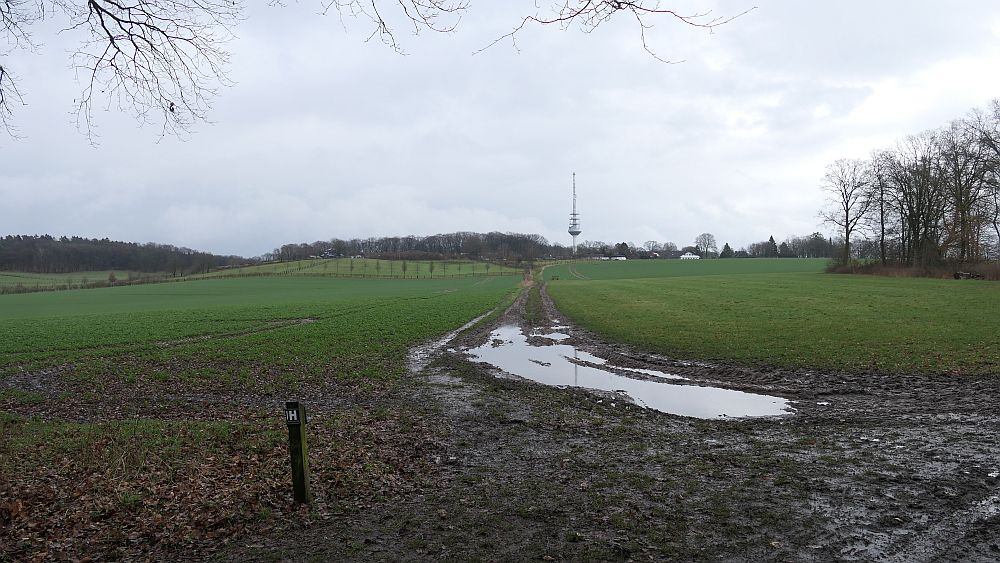 Heidschnuckenweg