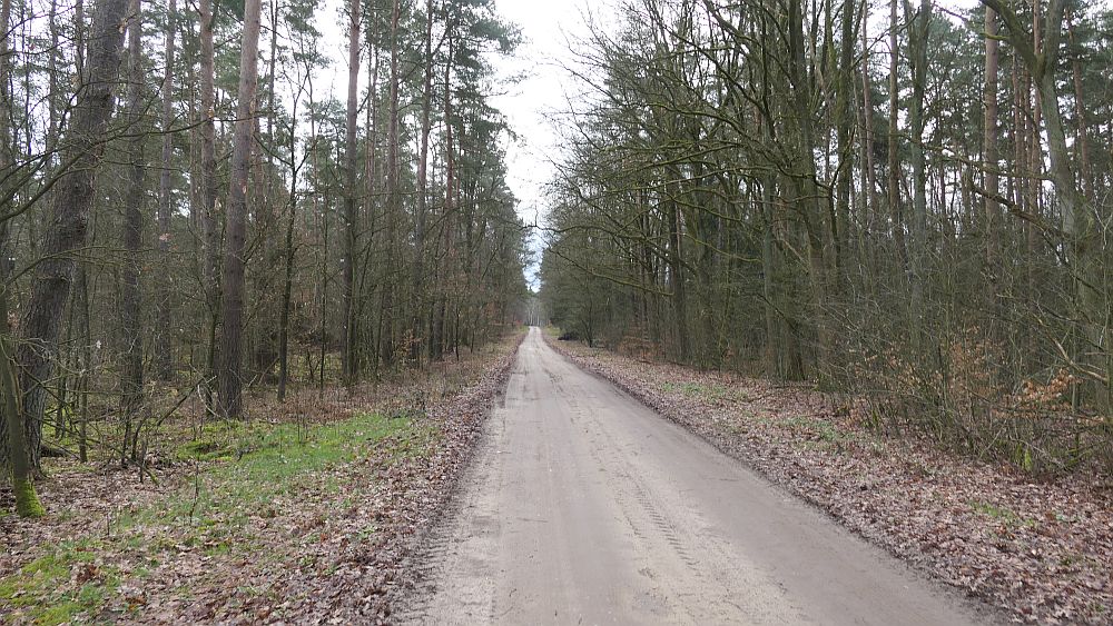 E1 Hamburg bis Steinhude