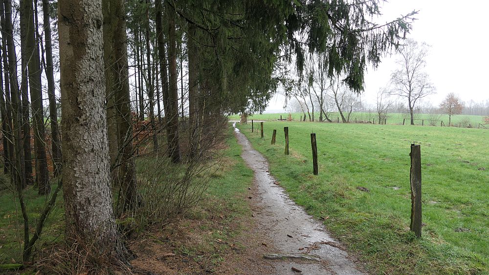 Heidschnuckenweg