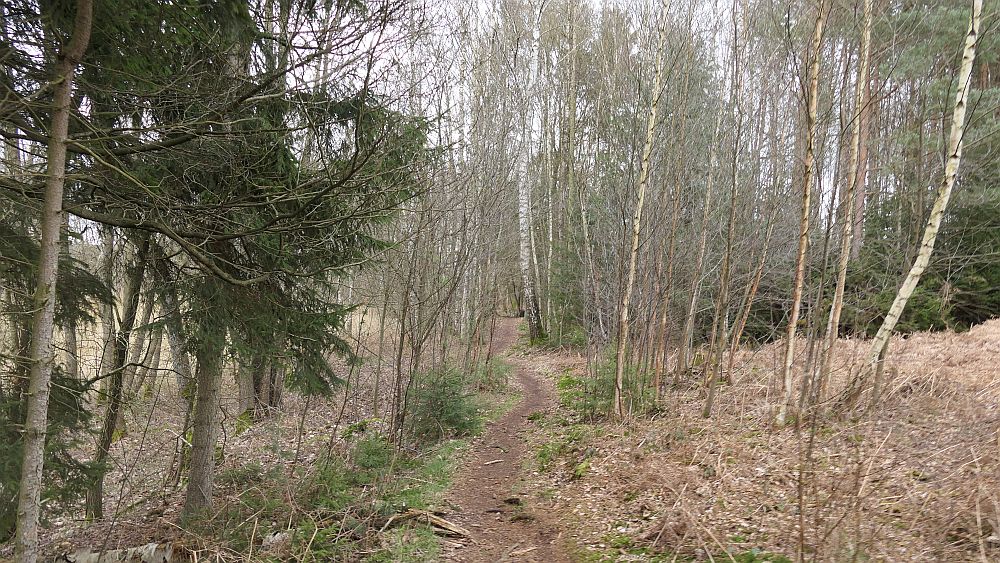 Heidschnuckenweg