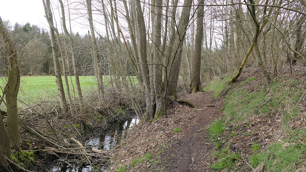 Heidschnuckenweg