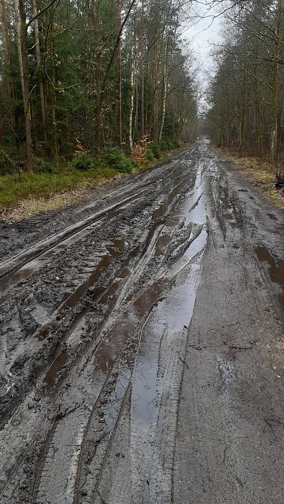 Heidschnuckenweg