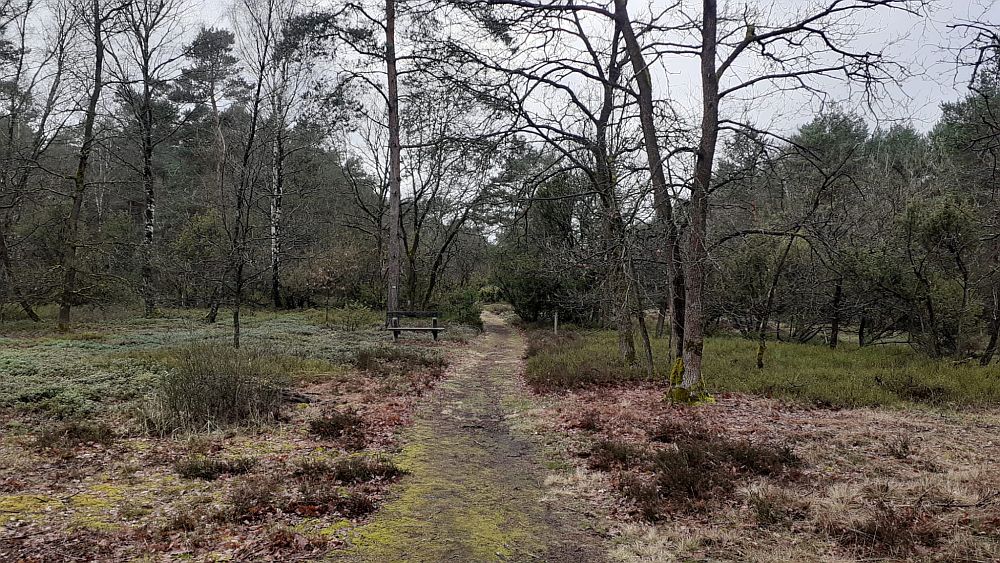 Heidschnuckenweg