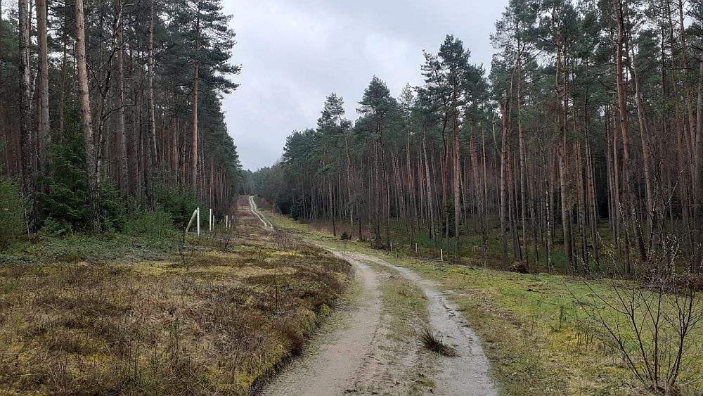 Heidschnuckenweg