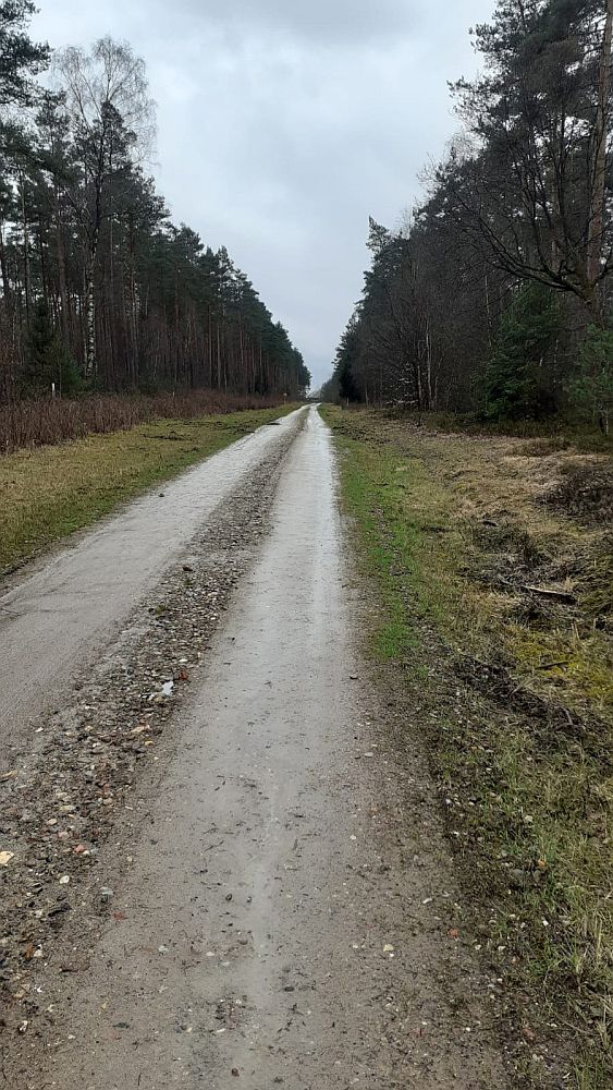 Heidschnuckenweg