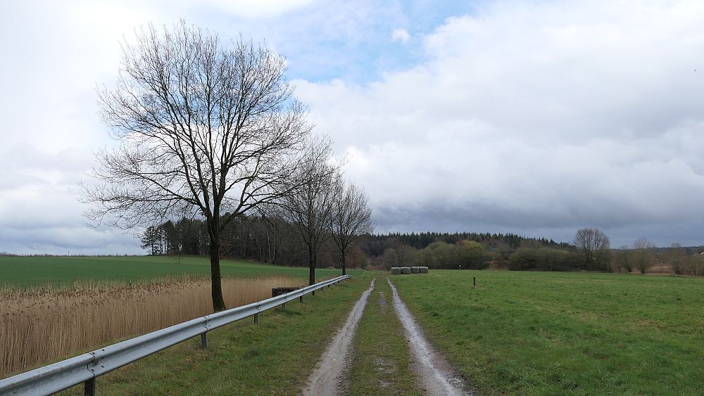 Heidschnuckenweg