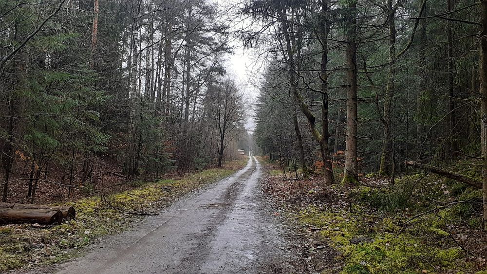 Heidschnuckenweg