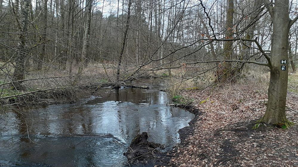 Heidschnuckenweg