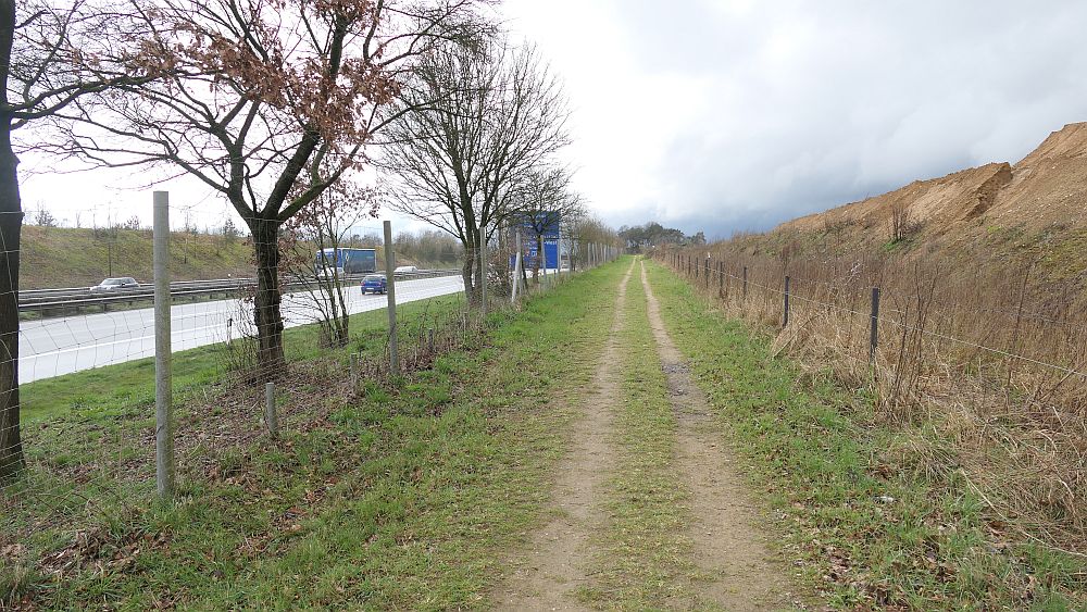 Heidschnuckenweg