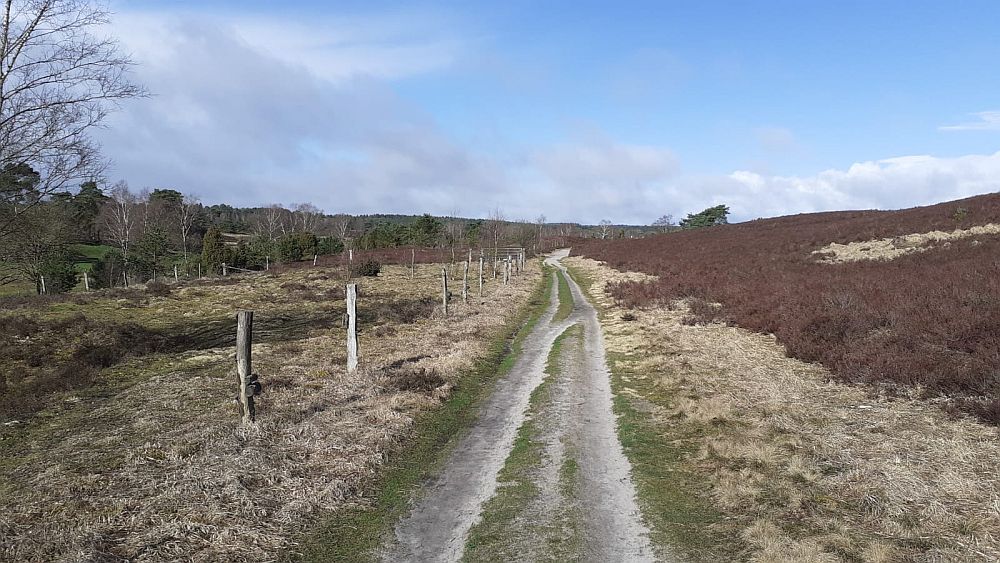 Heidschnuckenweg