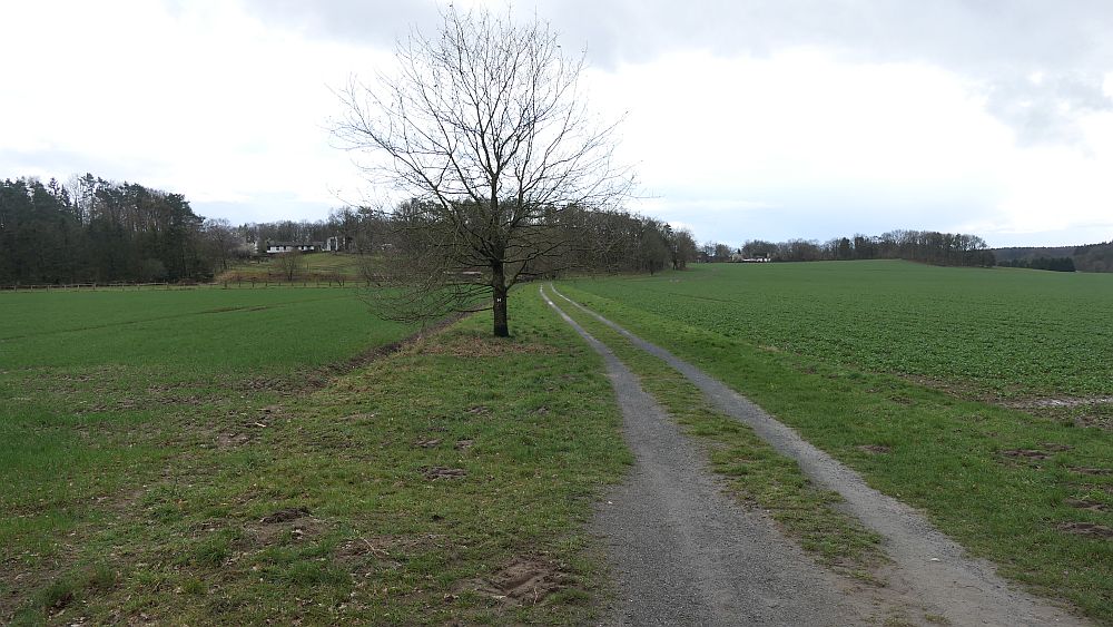 Heidschnuckenweg