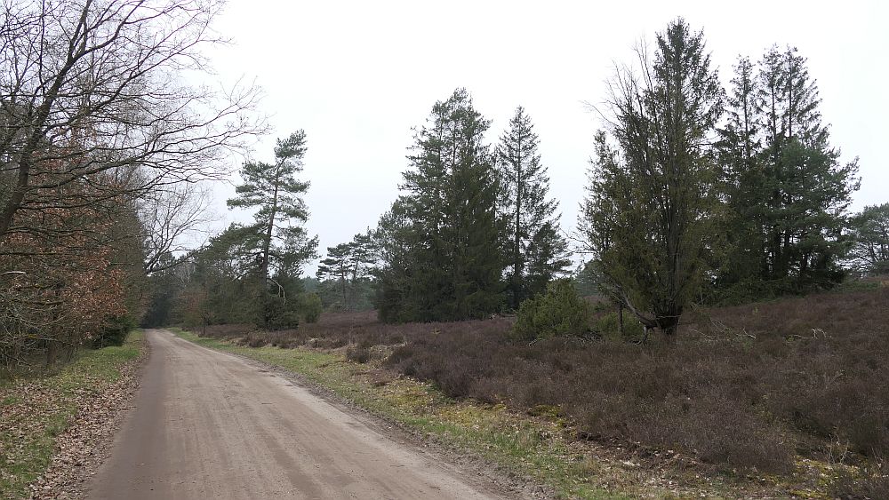 Heidschnuckenweg