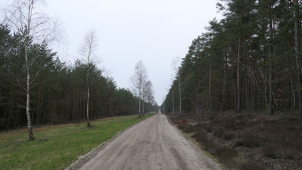 Heidschnuckenweg