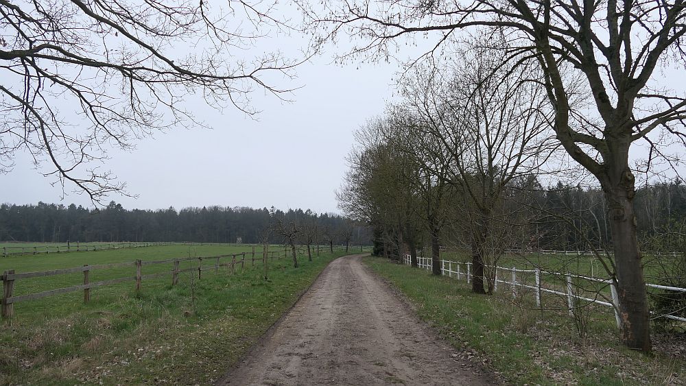 Heidschnuckenweg