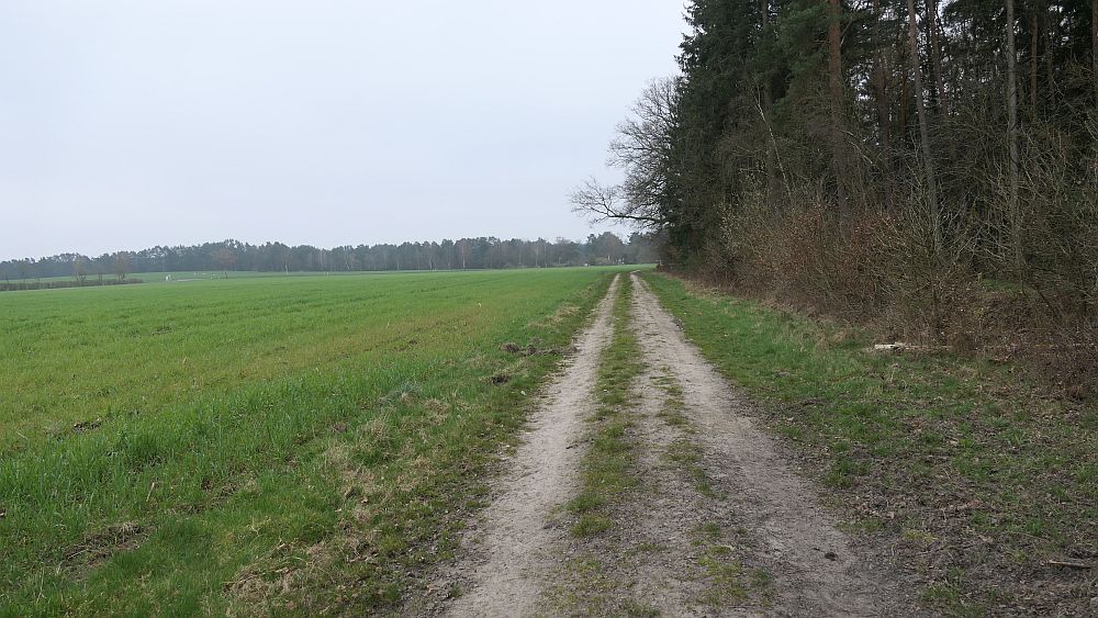 Heidschnuckenweg