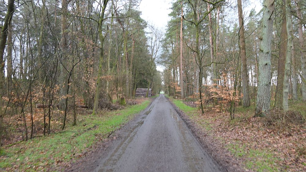 Heidschnuckenweg
