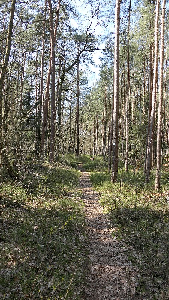 Heidschnuckenweg