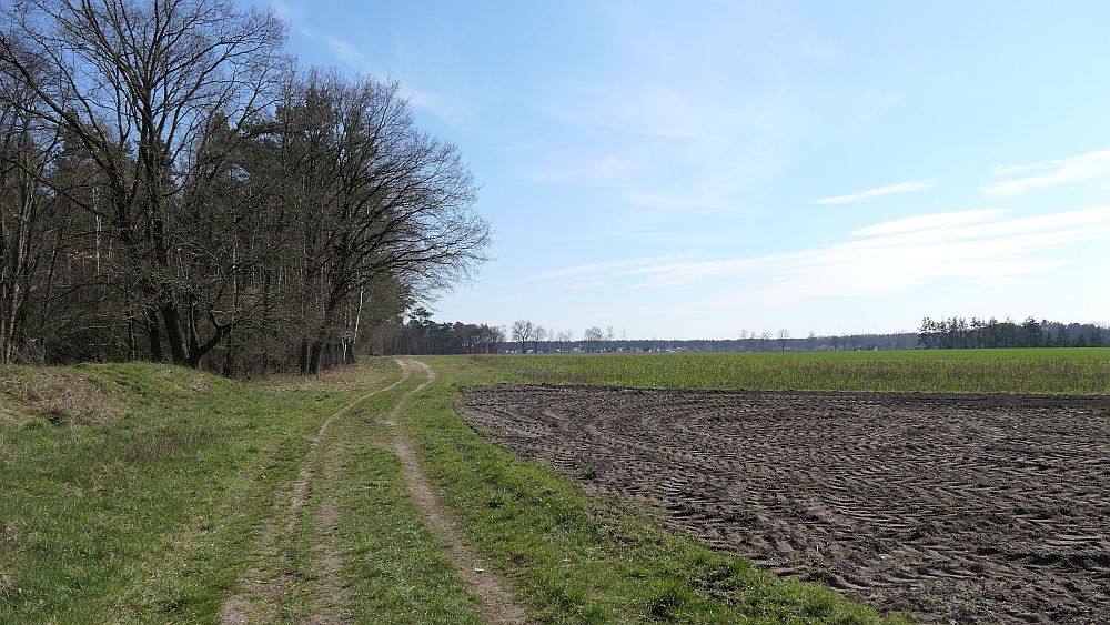 Heidschnuckenweg