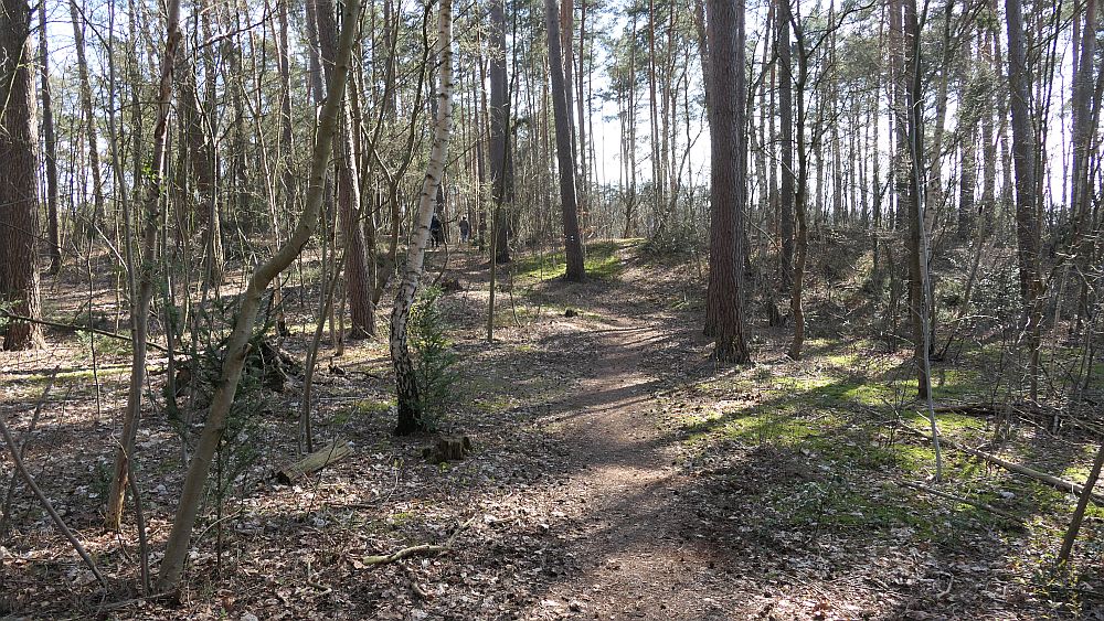 Heidschnuckenweg