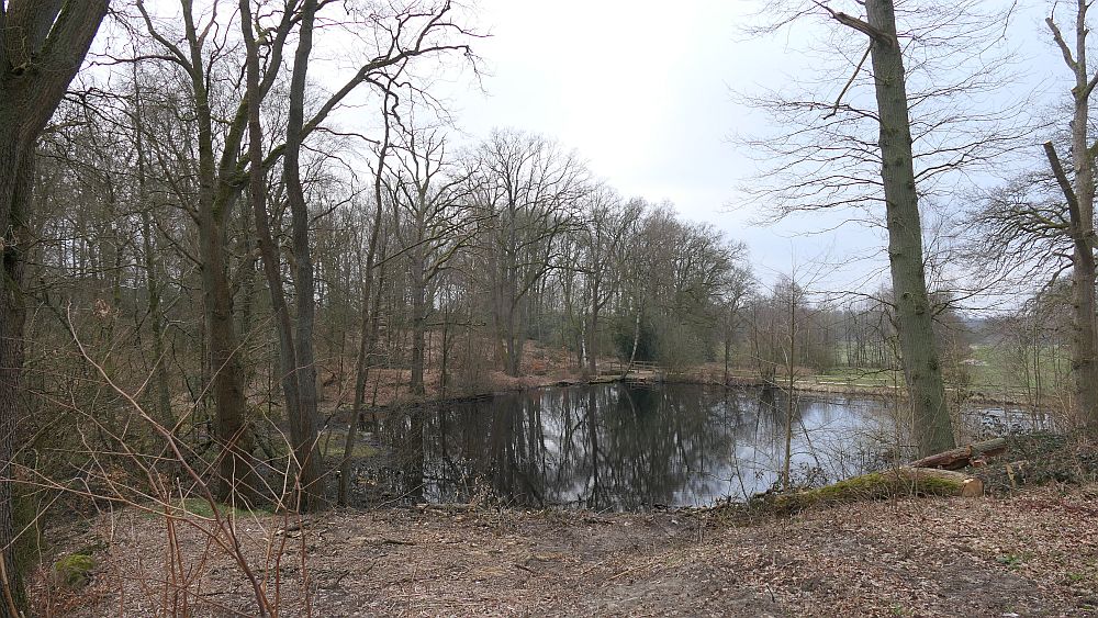 Heidschnuckenweg