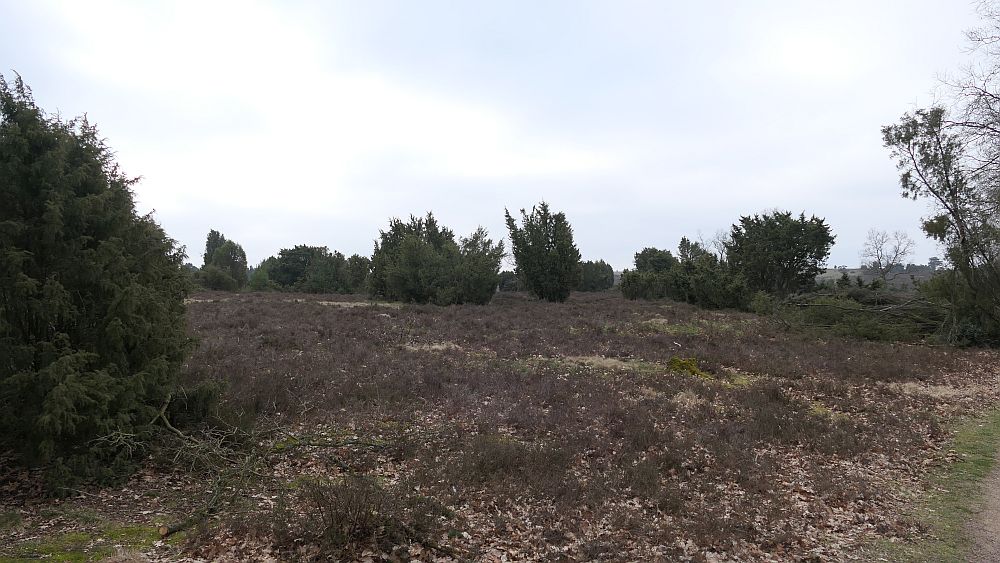 Heidschnuckenweg